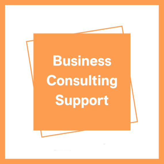 3. Business Consulting Support